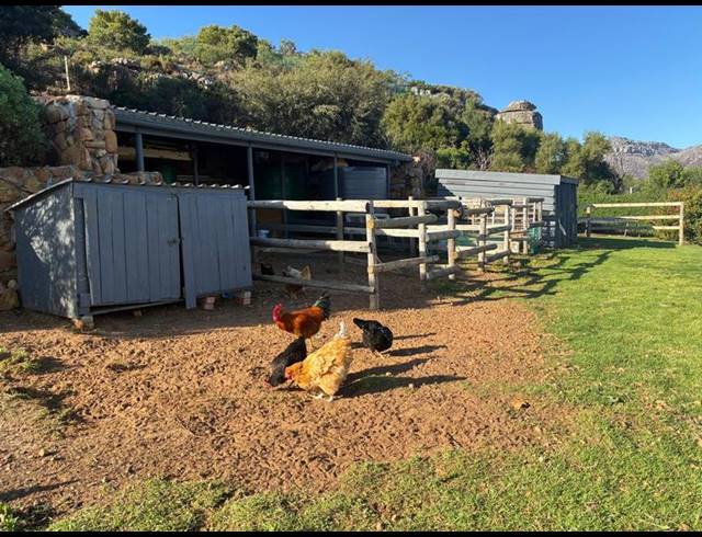 4 BEDROOM PROPERTY TO RENT IN SAN MICHEL